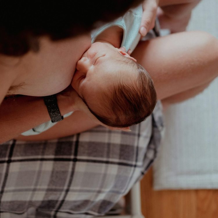 wren-meinberg-NFH6LovuJso-unsplash